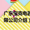 廣東寶克電器有限公司（關于廣東寶克電器有限公司介紹）