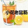 小花老鼠簕果（關于小花老鼠簕果簡介）