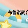 布魯諾簡介（關于布魯諾簡介的簡介）