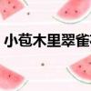 小苞木里翠雀花（關于小苞木里翠雀花簡介）