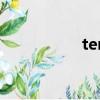 tera什么時候可以玩？