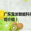 廣東寶龍智能科技有限公司（關于廣東寶龍智能科技有限公司介紹）