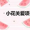 小花關愛項目（關于小花關愛項目簡介）