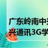 廣東嶺南中興通訊3G學院（關于廣東嶺南中興通訊3G學院介紹）