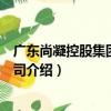 廣東尚凝控股集團有限公司（關于廣東尚凝控股集團有限公司介紹）