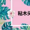 粘木頭快干膠水（快干膠水）
