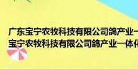 廣東寶寧農牧科技有限公司鴿產業一體化科技園(關于廣東寶寧農牧科技有限公司鴿產業一體化科技園介紹)
