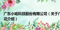廣東小哈科技股份有限公司(關于廣東小哈科技股份有限公司介紹)