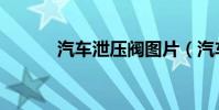 汽車泄壓閥圖片(汽車泄壓閥)