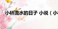 小橋流水的日子 小說(小橋流水的日子)