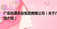廣東宗源實業集團有限公司(關于廣東宗源實業集團有限公司介紹)