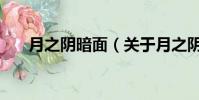 月之陰暗面(關于月之陰暗面的簡介)