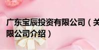 廣東寶辰投資有限公司(關于廣東寶辰投資有限公司介紹)