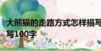 大熊貓的走路方式怎樣描寫大熊貓走路方式描寫100字