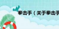 拳擊手(關于拳擊手的簡介)