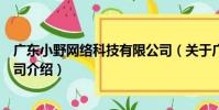 廣東小野網絡科技有限公司(關于廣東小野網絡科技有限公司介紹)