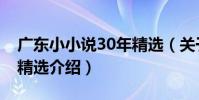 廣東小小說30年精選(關于廣東小小說30年精選介紹)