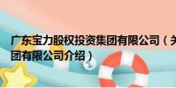 廣東寶力股權投資集團有限公司(關于廣東寶力股權投資集團有限公司介紹)