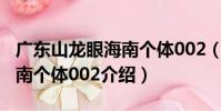 廣東山龍眼海南個體002(關于廣東山龍眼海南個體002介紹)