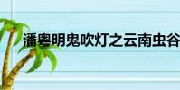 潘粵明鬼吹燈之云南蟲谷免費觀看西瓜