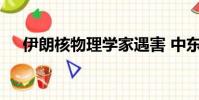 伊朗核物理學家遇害 中東將發生啥事情