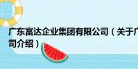 廣東富達企業集團有限公司(關于廣東富達企業集團有限公司介紹)