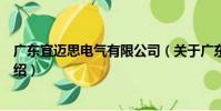 廣東宜邁思電氣有限公司(關于廣東宜邁思電氣有限公司介紹)