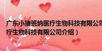 廣東小豬班納醫療生物科技有限公司(關于廣東小豬班納醫療生物科技有限公司介紹)