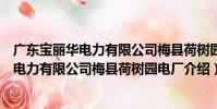 廣東寶麗華電力有限公司梅縣荷樹園電廠(關于廣東寶麗華電力有限公司梅縣荷樹園電廠介紹)