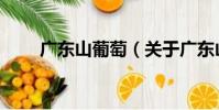 廣東山葡萄(關于廣東山葡萄介紹)