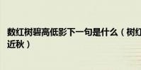 數紅樹碧高低影下一句是什么(樹紅樹碧高低影 煙淡煙濃遠近秋)