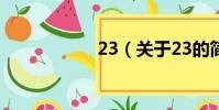 23(關于23的簡介)