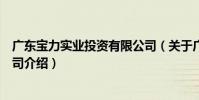 廣東寶力實業投資有限公司(關于廣東寶力實業投資有限公司介紹)