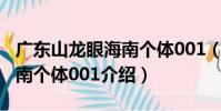 廣東山龍眼海南個體001(關于廣東山龍眼海南個體001介紹)