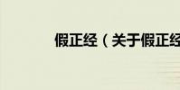 假正經(關于假正經的簡介)