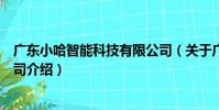 廣東小哈智能科技有限公司(關于廣東小哈智能科技有限公司介紹)