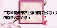 廣東嶺南健康產業集團有限公司(關于廣東嶺南健康產業集團有限公司介紹)