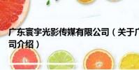 廣東寰宇光影傳媒有限公司(關于廣東寰宇光影傳媒有限公司介紹)