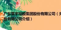 廣東寰宇控股集團股份有限公司(關于廣東寰宇控股集團股份有限公司介紹)