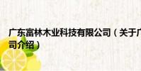 廣東富林木業科技有限公司(關于廣東富林木業科技有限公司介紹)