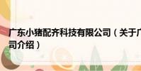 廣東小豬配齊科技有限公司(關于廣東小豬配齊科技有限公司介紹)
