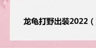 龍龜打野出裝2022(龍龜打野)