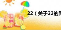 22(關于22的簡介)