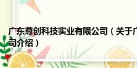 廣東尊創科技實業有限公司(關于廣東尊創科技實業有限公司介紹)