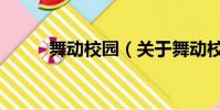 舞動校園(關于舞動校園的簡介)