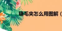 睫毛夾怎么用圖解(睫毛夾)