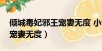 傾城毒妃邪王寵妻無度 小說(傾城毒妃邪王寵妻無度)