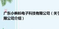 廣東小蝌蚪電子科技有限公司(關于廣東小蝌蚪電子科技有限公司介紹)