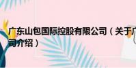 廣東山包國際控股有限公司(關于廣東山包國際控股有限公司介紹)