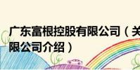 廣東富根控股有限公司(關于廣東富根控股有限公司介紹)